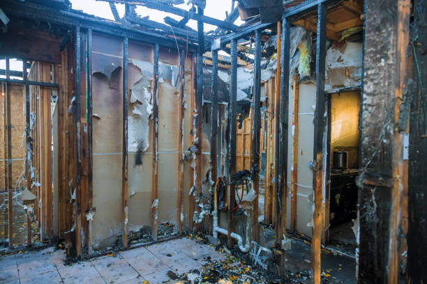 Professional Fire Damage Removal technician working in Becker, MN